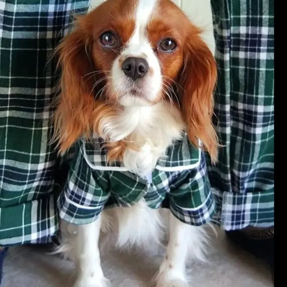 🎈Green Plaid Flannel Dog Pajamas